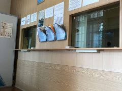 Генеральное консульство России в Брно (Чехия)