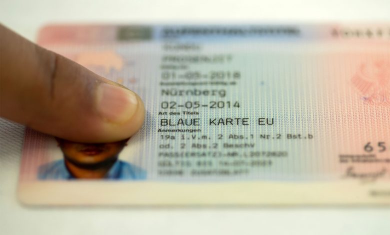Голубая карта в Германии: как получить Blue Card, список профессий