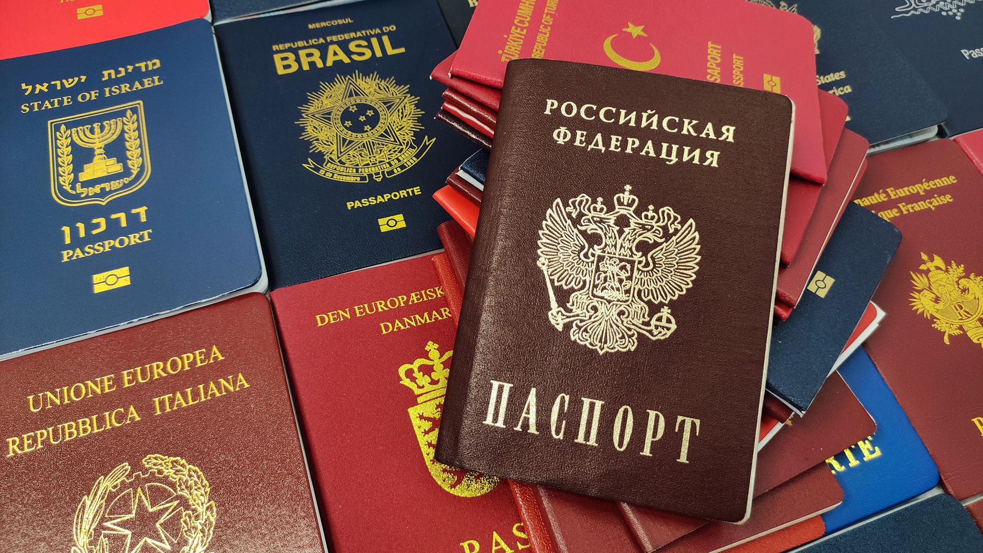 Как проверить готовность гражданства РФ в 2024 году?