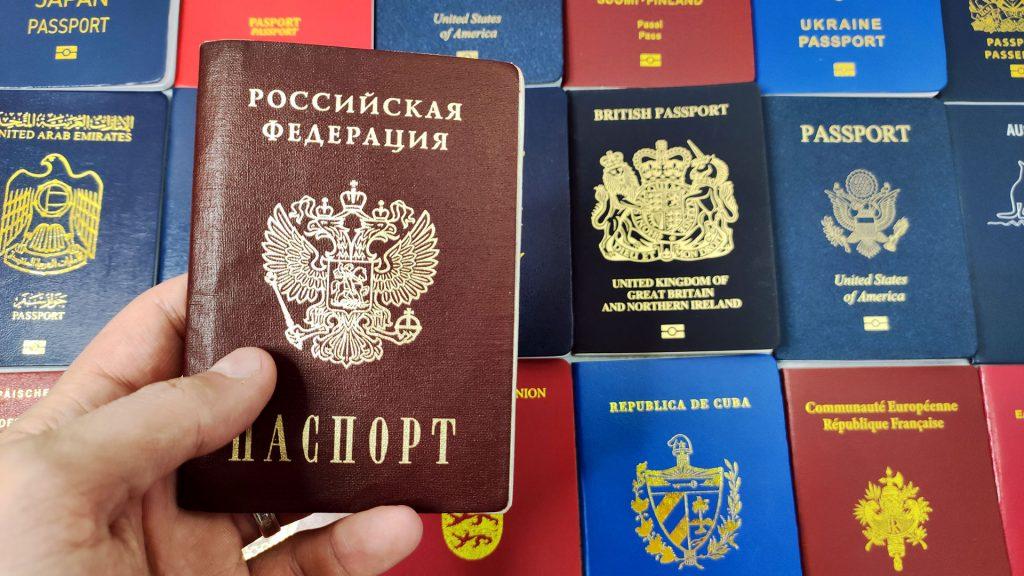 В 2023 году гражданство россии получили