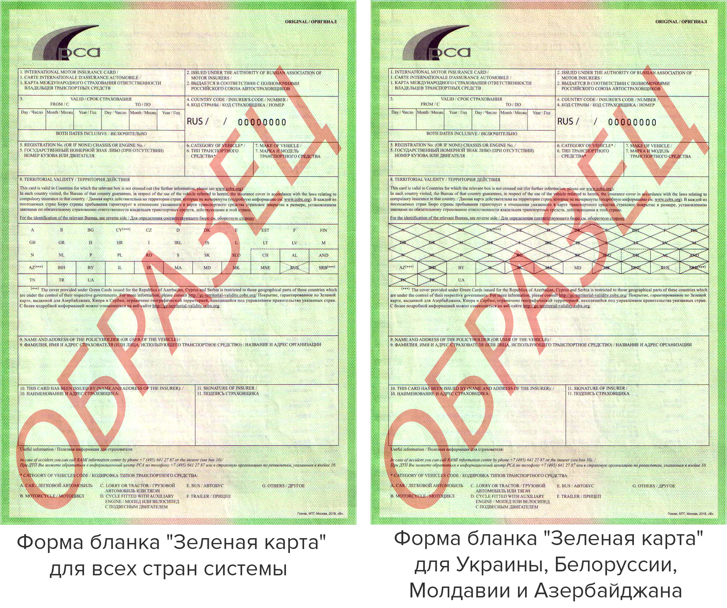Сколько стоит двухнедельная "зеленая карта" в Беларуси?