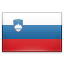 slovenia - Иностранные дипломатические представительства в России