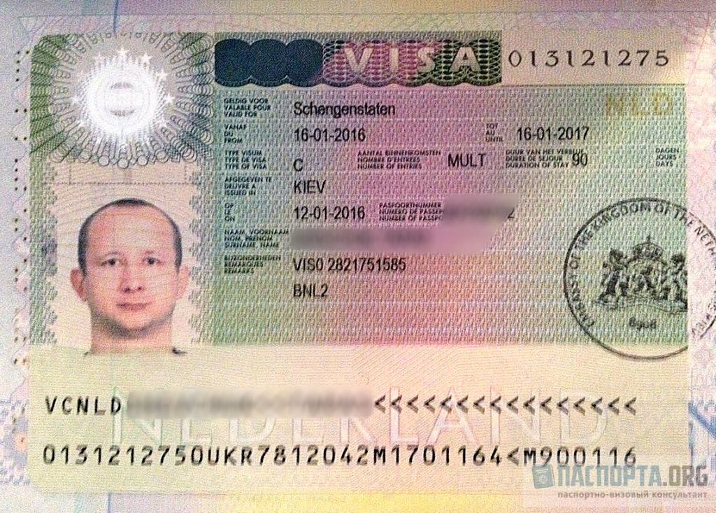 Так выглядит шенгенская виза в Нидерланды категории C.