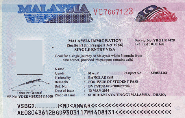 Типы виз в Малайзию и особенности их оформления. Тип визы зависит от срока пребывания и причин посещения.