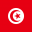 tunis 1 32x32 - Посольство России в Тунисе