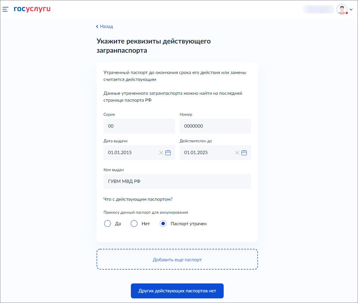 Как заполнять данные на загранпаспорт на госуслугах